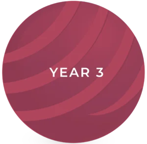 Artboard 8 copy 19@3x Year 3