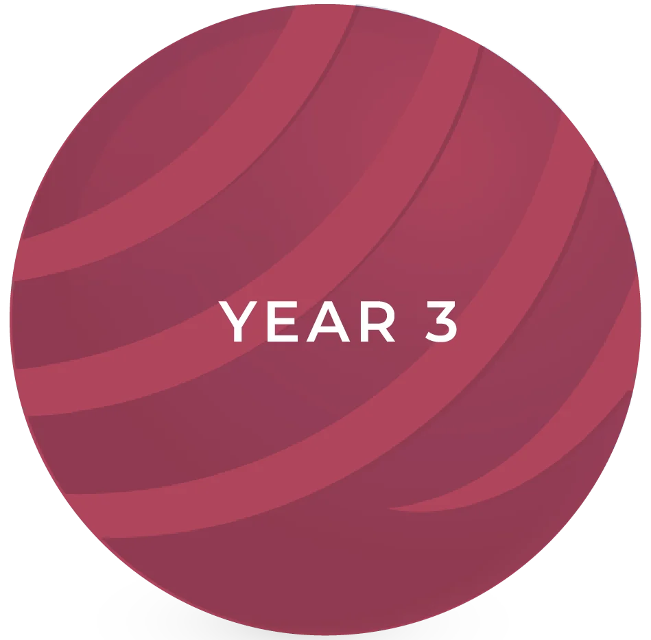 Artboard 8 copy 19@3x Year 3