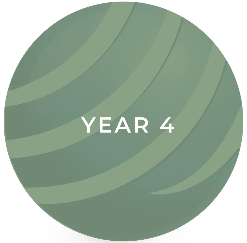 Artboard 8 copy 20@3x Year 4