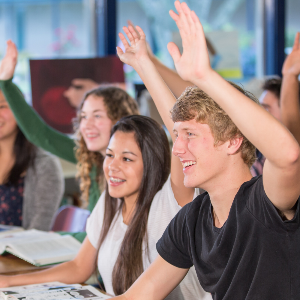 Year 8 Website Hero Image